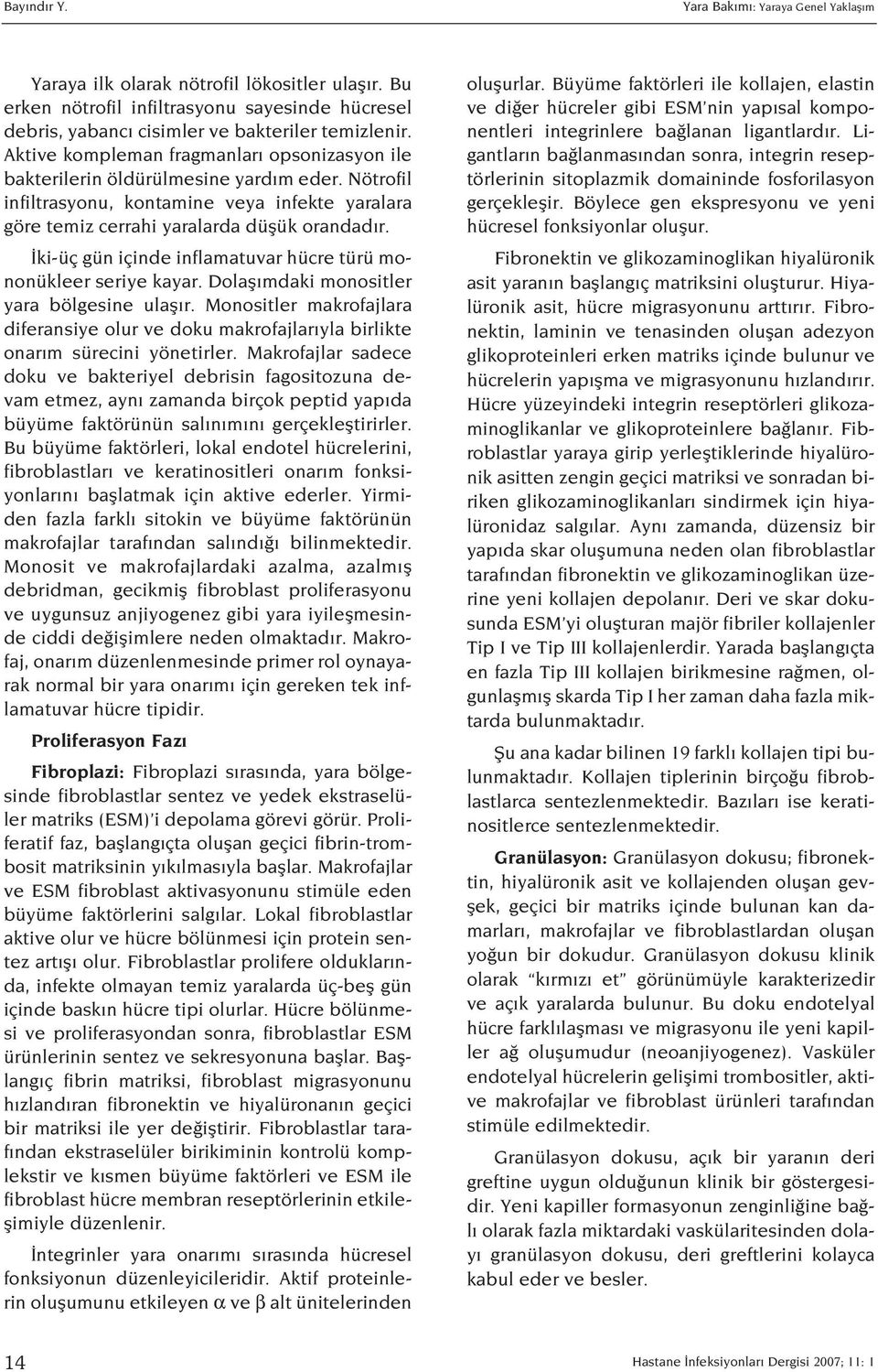 ki-üç gün içinde inflamatuvar hücre türü mononükleer seriye kayar. Dolafl mdaki monositler yara bölgesine ulafl r.