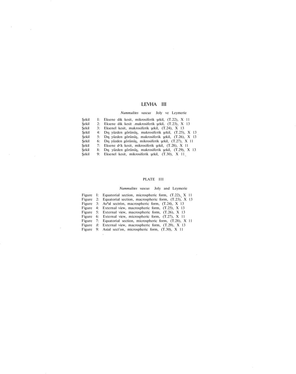 26), X 13 Şekil 6: Dış yüzden görünüş, mikrosiferik şekil, (T.27), X 11 Şekil 7: Eksene d<k kesit, mikrosiferik şekil, (T.28), X 11 Şekil 8: Dış yüzden görünüş, makrosiferik şekil, (T.