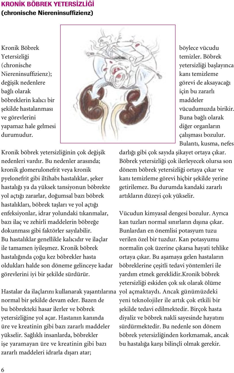 Bu nedenler arasında; kronik glomerulonefrit veya kronik pyelonefrit gibi iltihabı hastalıklar, µeker hastalıπı ya da yüksek tansiyonun böbrekte yol açtıπı zararlar, doπumsal bazı böbrek