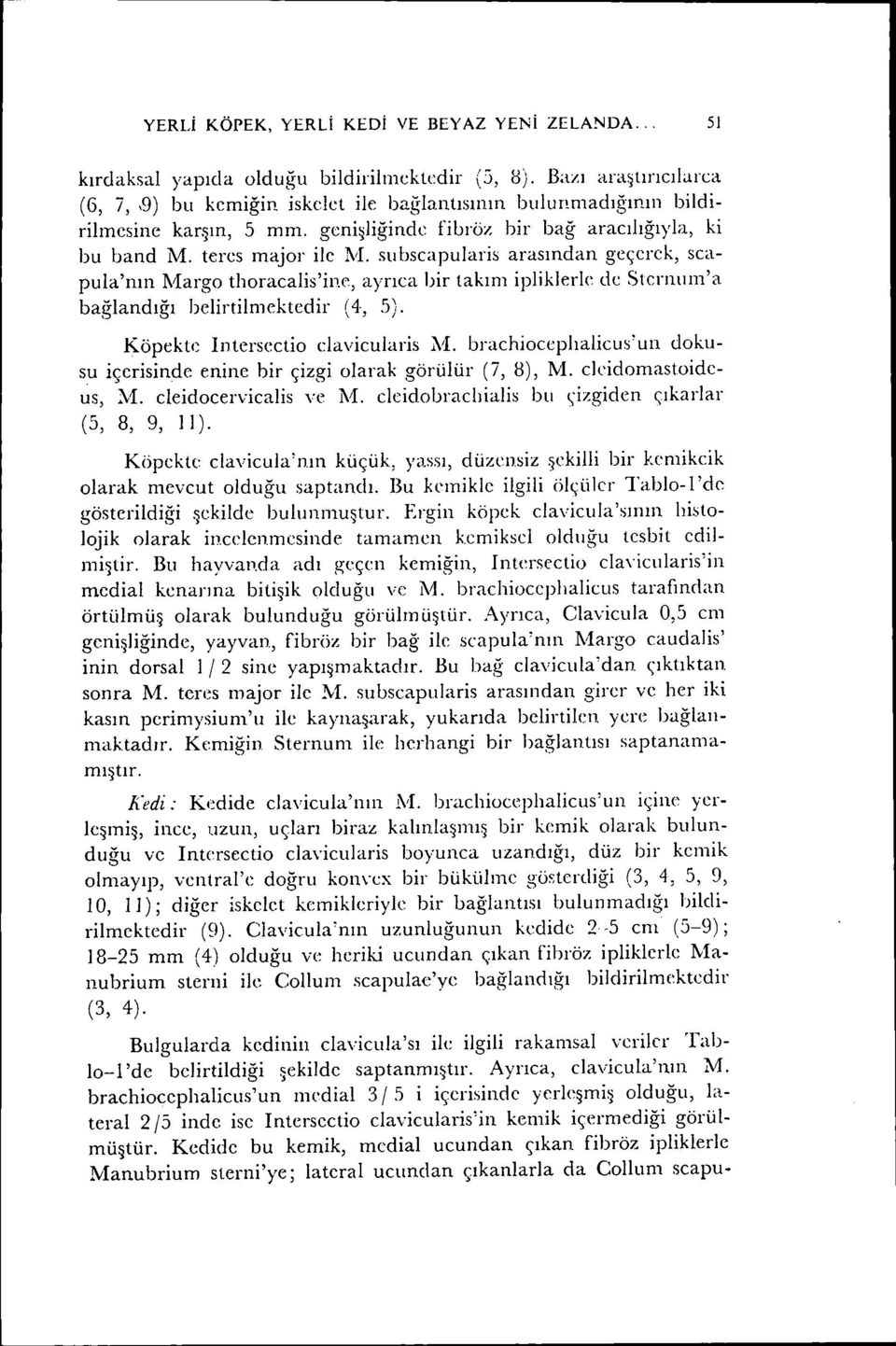 su bsca pularis arasından geçerek, scapula'nın :LvIargothoracalis'inc, ayrıca bir takım ipiikici'le de Sıerııum'a bağlandığı belirtilmektedir (4., 5). Köpekte Intersectio clavicularis :VI.