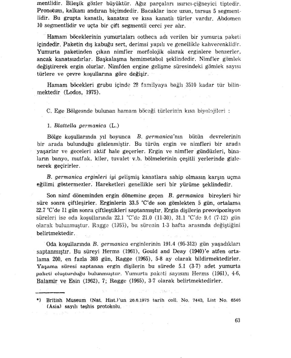 Hamam böceklerinin yumurtaları ootheca adı verilen bir yumurta paketi içindedir. Paketin dış kabuğu sert, derimsi yapılı ve genellikle kahverenklidir.