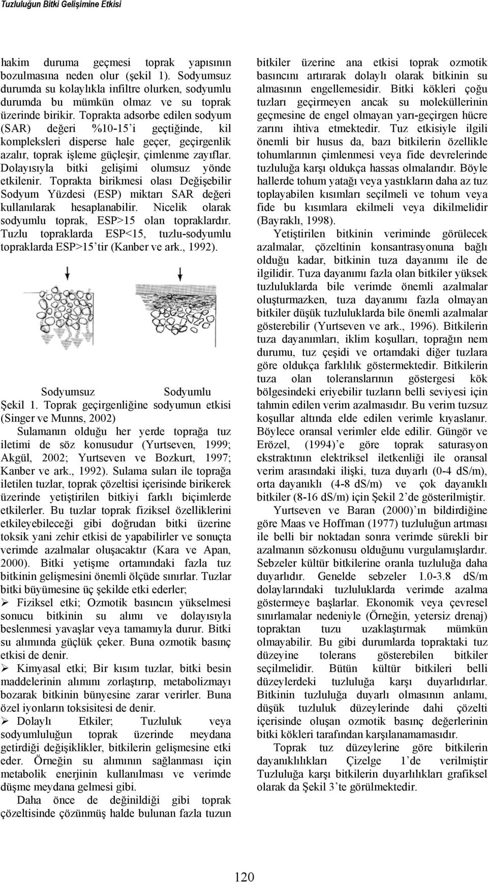 Toprakta adsorbe edilen sodyum (SAR) değeri %10-15 i geçtiğinde, kil kompleksleri disperse hale geçer, geçirgenlik azalır, toprak işleme güçleşir, çimlenme zayıflar.