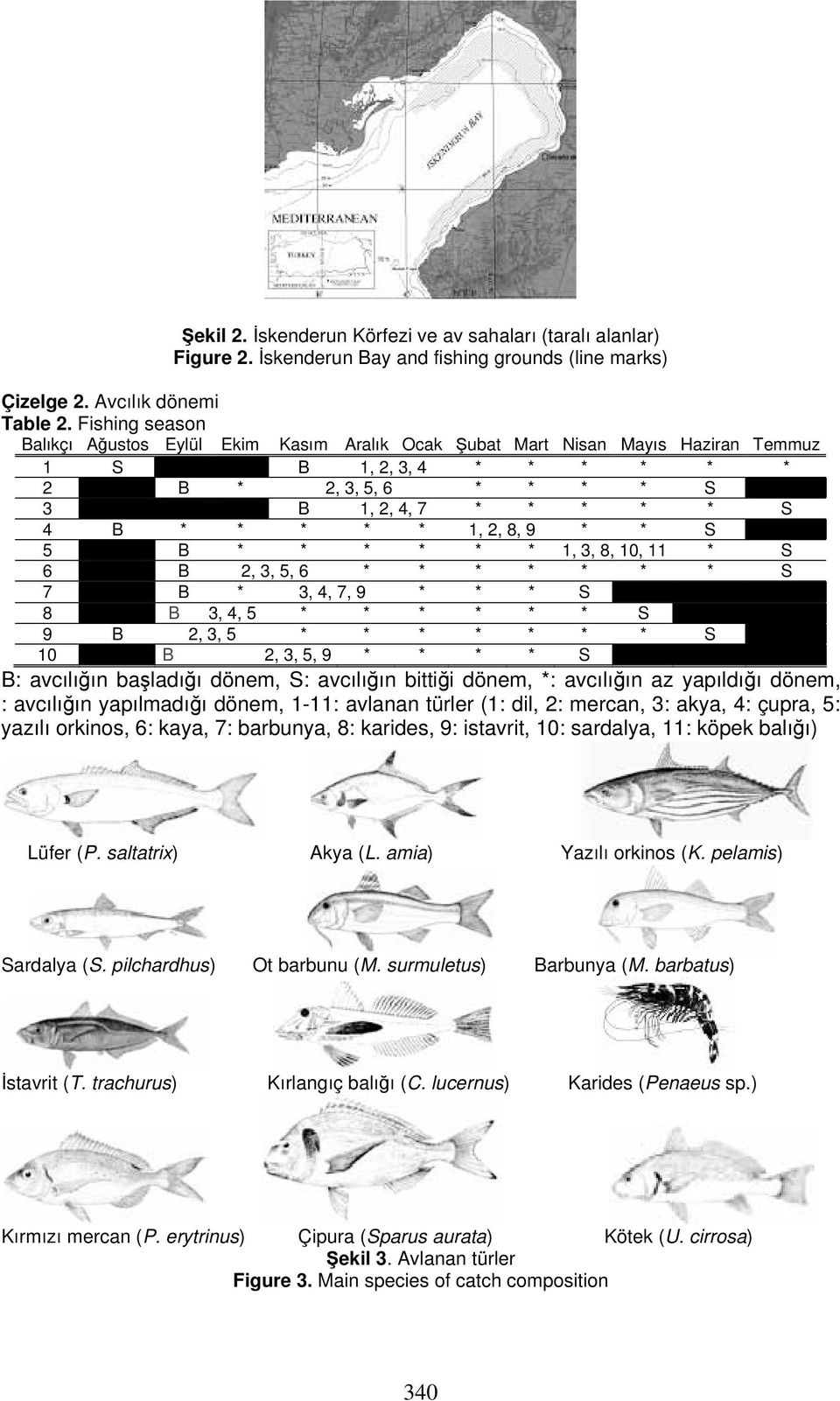 9 * * S 5 B * * * * * * 1, 3, 8, 10, 11 * S 6 B 2, 3, 5, 6 * * * * * * * S 7 B * 3, 4, 7, 9 * * * S 8 B 3, 4, 5 * * * * * * S 9 B 2, 3, 5 * * * * * * * S 10 B 2, 3, 5, 9 * * * * S B: avcılığın