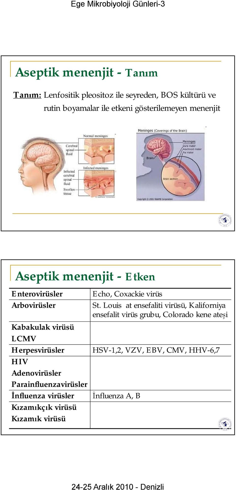 HIV Adenovirüsler Parainfluenzavirüsler İnfluenza virüsler Kızamıkçık virüsü Kızamık virüsü Echo, Coxackievirüs St.