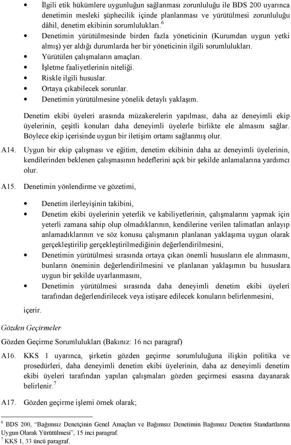 İşletme faaliyetlerinin niteliği. Riskle ilgili hususlar. Ortaya çıkabilecek sorunlar. Denetimin yürütülmesine yönelik detaylı yaklaşım.