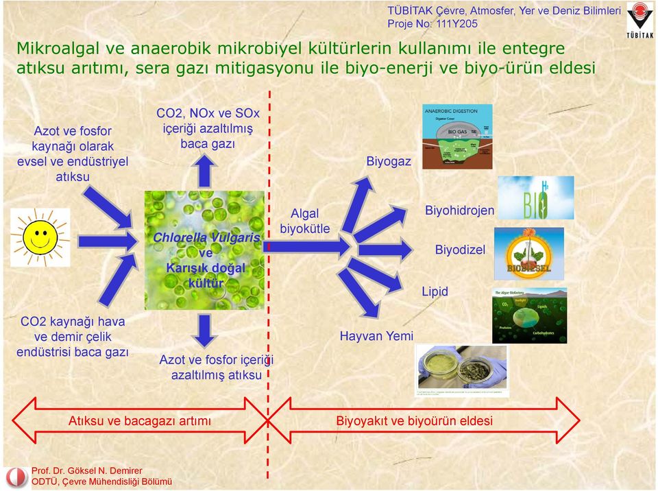 içeriği azaltılmış baca gazı Biyogaz Chlorella Vulgaris ve Karışık doğal kültür Algal biyokütle Biyohidrojen Biyodizel Lipid CO2 kaynağı hava