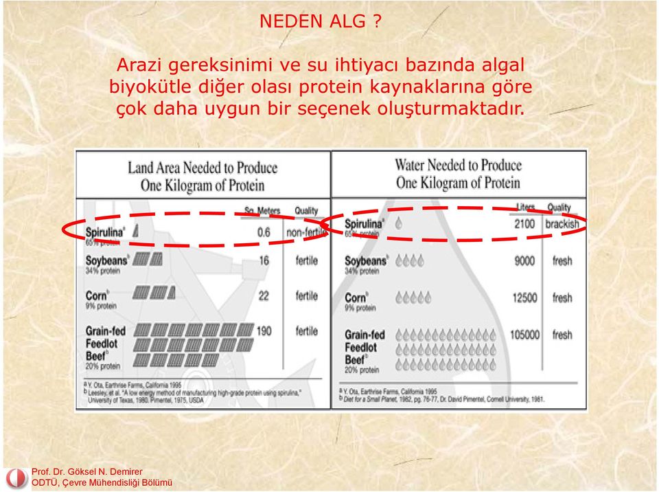 bazında algal biyokütle diğer olası