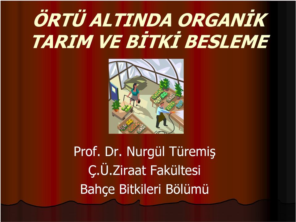 Nurgül Türemiş Ç.Ü.