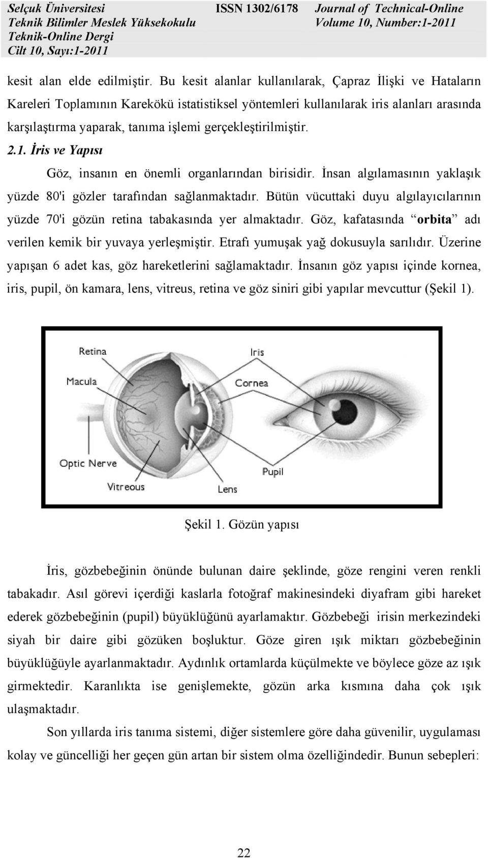 İris ve Ypısı Göz, insnın en önemli orgnlrındn birisidir. İnsn lgılmsının yklşık yüzde 80'i gözler trfındn sğlnmktdır. Bütün vücuttki duyu lgılyıcılrının yüzde 70'i gözün retin tbksınd yer lmktdır.