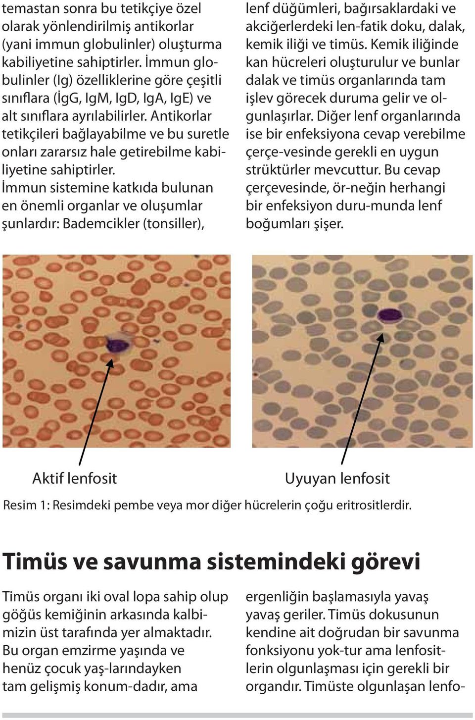 Antikorlar tetikçileri bağlayabilme ve bu suretle onları zararsız hale getirebilme kabiliyetine sahiptirler.