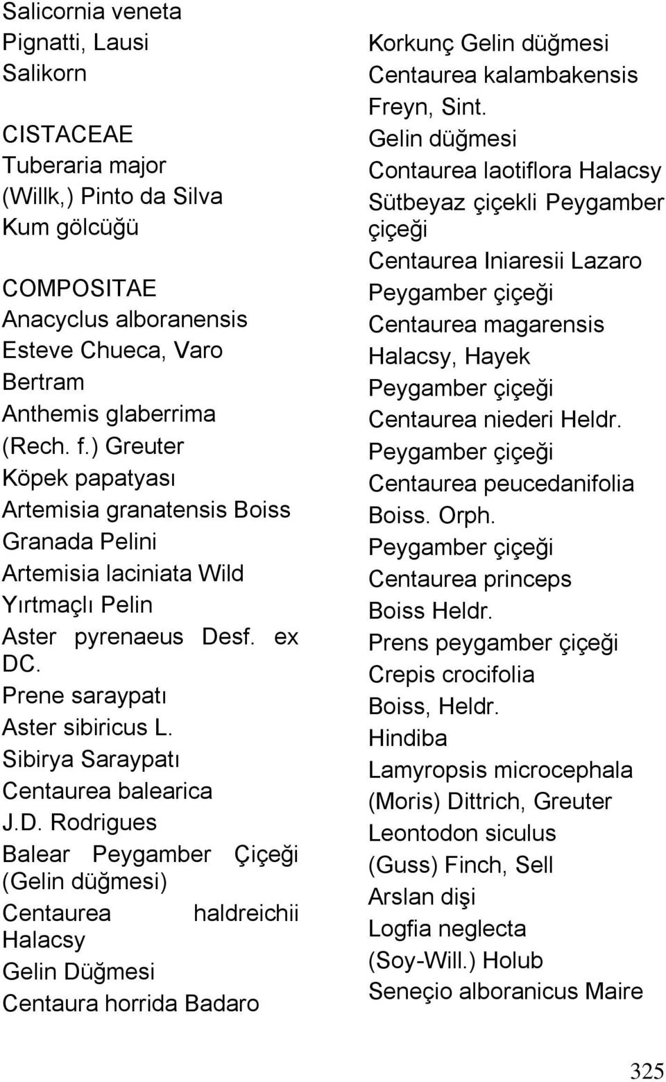 Sibirya Saraypatı Centaurea balearica J.D.