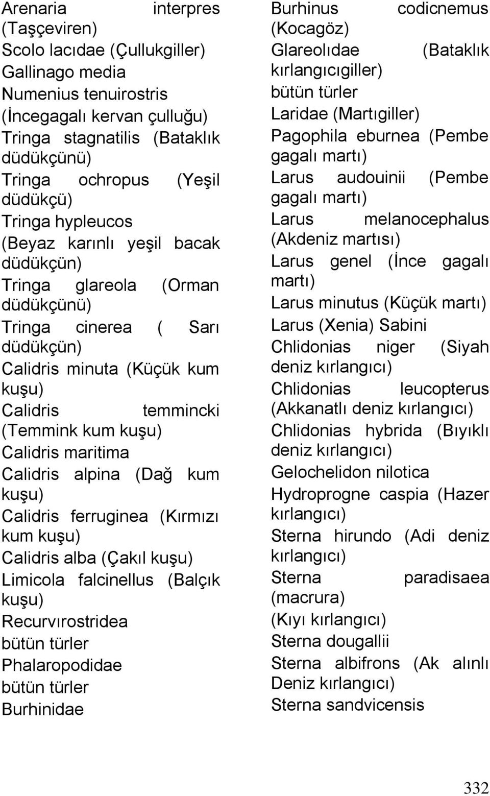 maritima Calidris alpina (Dağ kum kuşu) Calidris ferruginea (Kırmızı kum kuşu) Calidris alba (Çakıl kuşu) Limicola falcinellus (Balçık kuşu) Recurvırostridea Phalaropodidae Burhinidae Burhinus