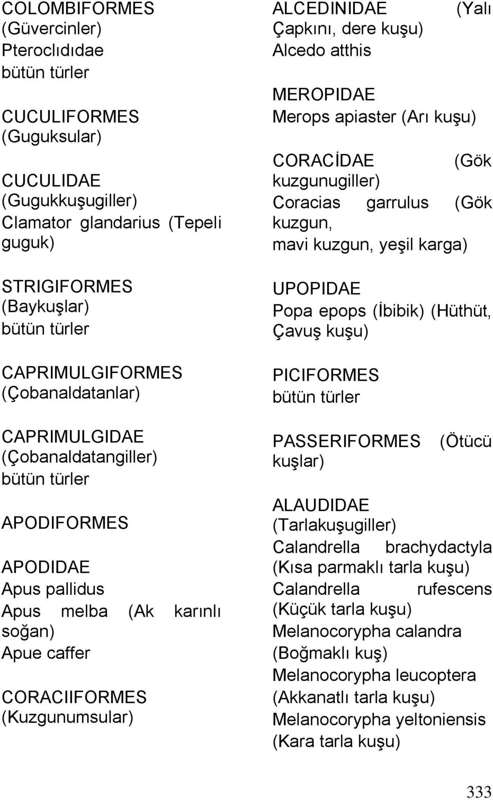 MEROPIDAE Merops apiaster (Arı kuşu) CORACİDAE (Gök kuzgunugiller) Coracias garrulus (Gök kuzgun, mavi kuzgun, yeşil karga) UPOPIDAE Popa epops (İbibik) (Hüthüt, Çavuş kuşu) PICIFORMES PASSERIFORMES