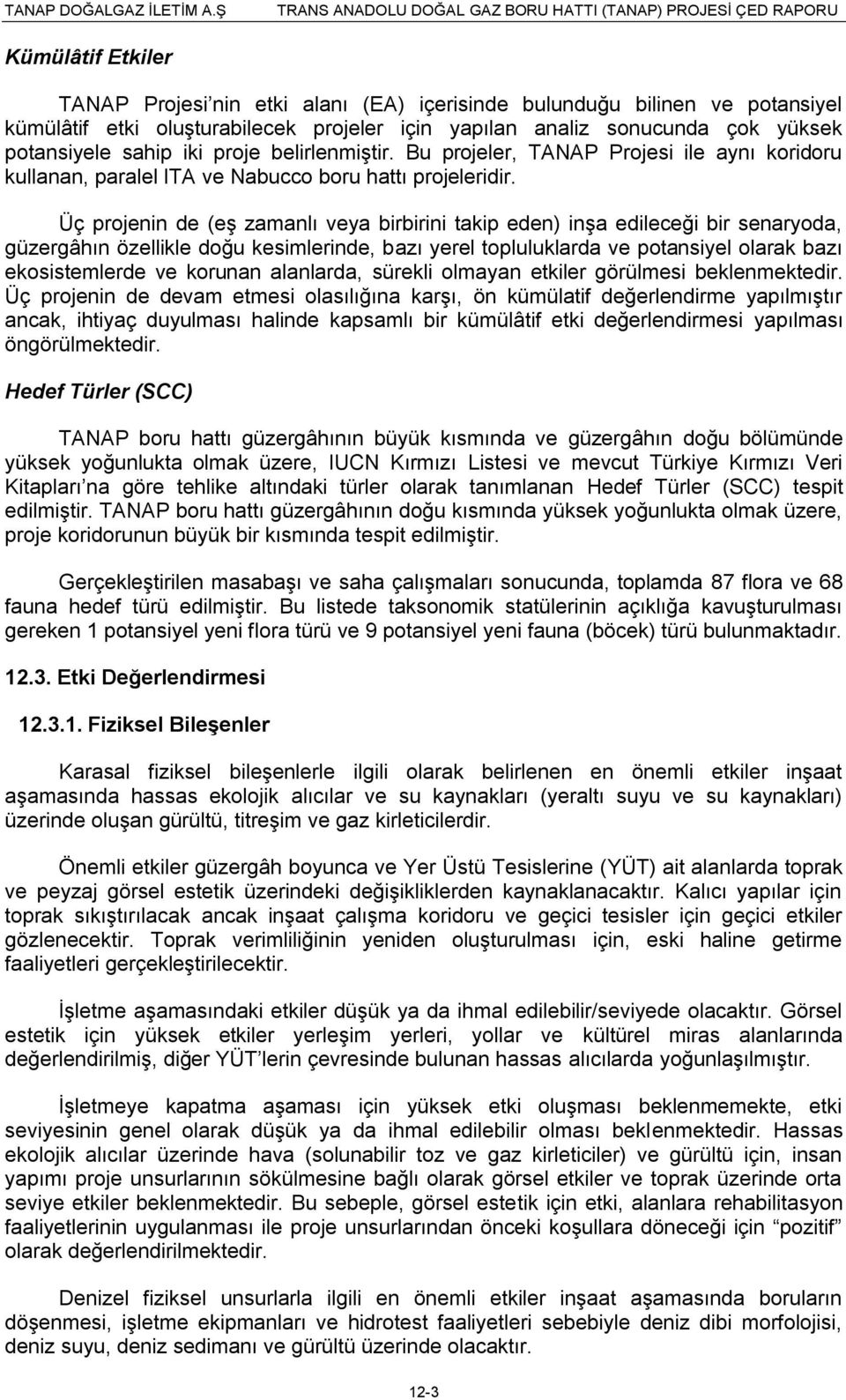 Üç projenin de (eģ zamanlı veya birbirini takip eden) inģa edileceği bir senaryoda, güzergâhın özellikle doğu kesimlerinde, bazı yerel topluluklarda ve potansiyel olarak bazı ekosistemlerde ve