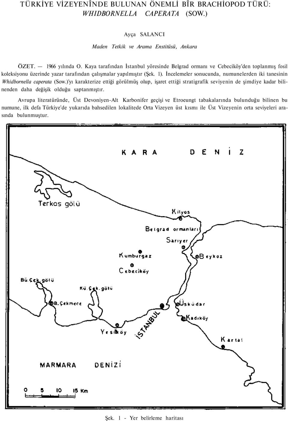 İncelemeler sonucunda, numunelerden iki tanesinin Whidbornella caperata (Sow.