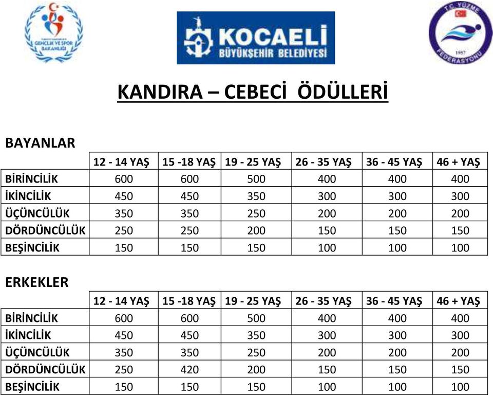 100 100 100 ERKEKLER 12-14 YAŞ 15-18 YAŞ 19-25 YAŞ 26-35 YAŞ 36-45 YAŞ 46 + YAŞ BİRİNCİLİK 600 600 500 400 400 400 İKİNCİLİK