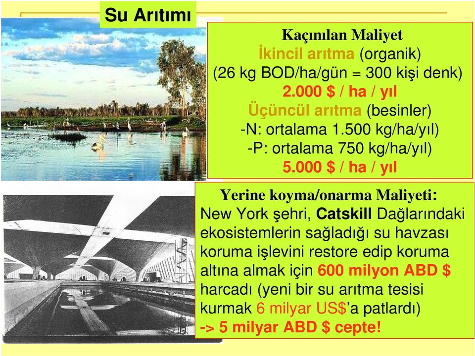 000 $ / ha / yıl Yerine koyma/onarma Maliyeti: New York şehri, Catskill Dağlarındaki ekosistemlerin sağladığı su