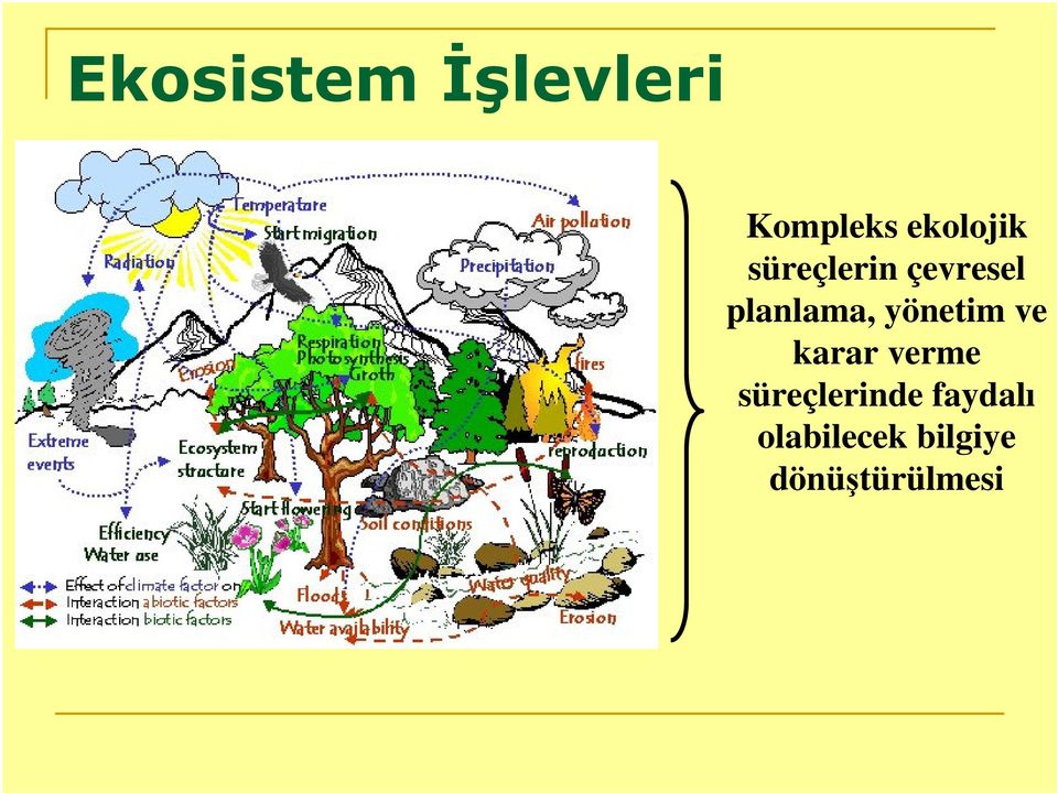 planlama, yönetim ve karar verme