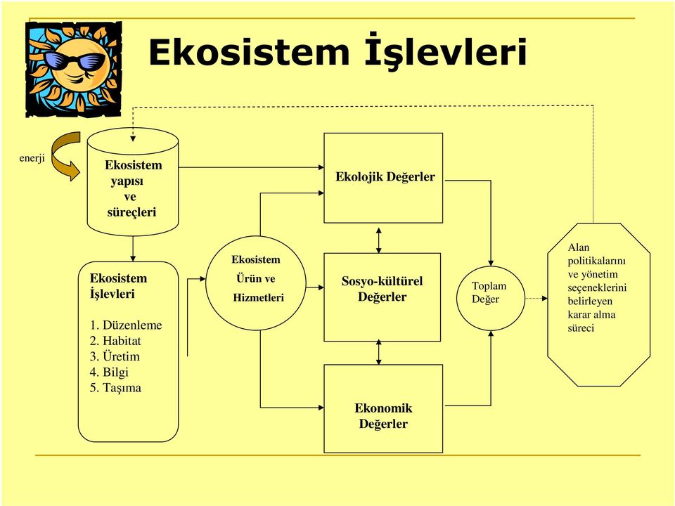 Taşıma Ekosistem Ürün ve Hizmetleri Sosyo-kültürel Değerler Toplam Değer