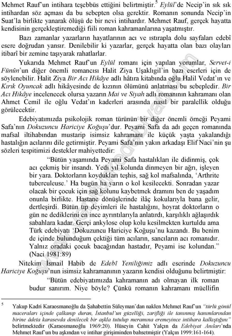 Bazı zamanlar yazarların hayatlarının acı ve ıstırapla dolu sayfaları edebî esere doğrudan yansır. Denilebilir ki yazarlar, gerçek hayatta olan bazı olayları itibarî bir zemine taşıyarak rahatlarlar.