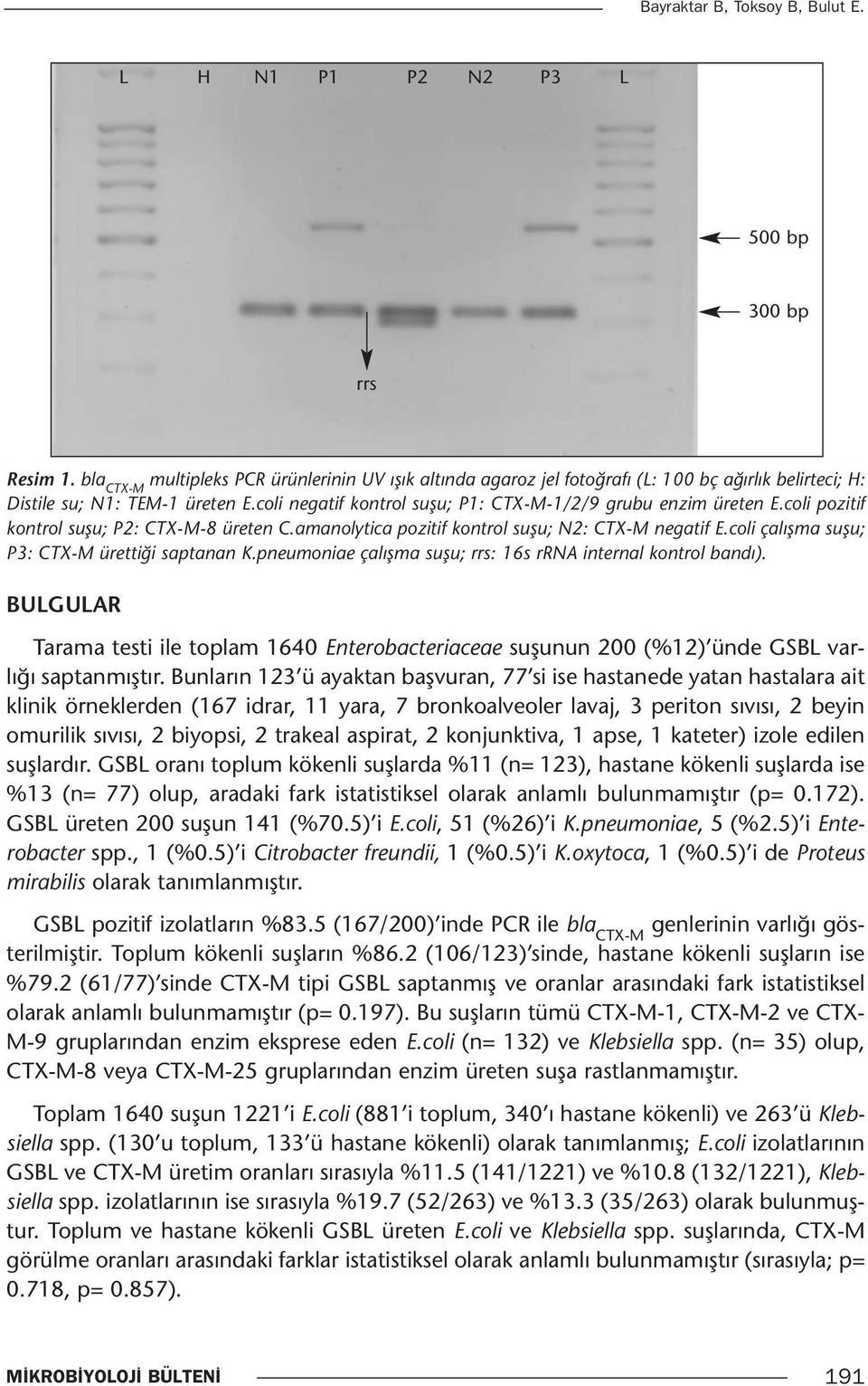 coli pozitif kontrol suşu; P2: CTX-M-8 üreten C.amanolytica pozitif kontrol suşu; N2: CTX-M negatif E.coli çalışma suşu; P3: CTX-M ürettiği saptanan K.