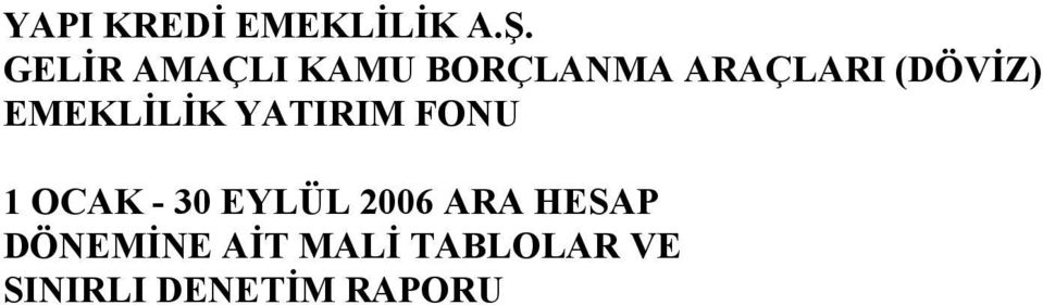 30 EYLÜL 2006 ARA HESAP DÖNEMNE AT