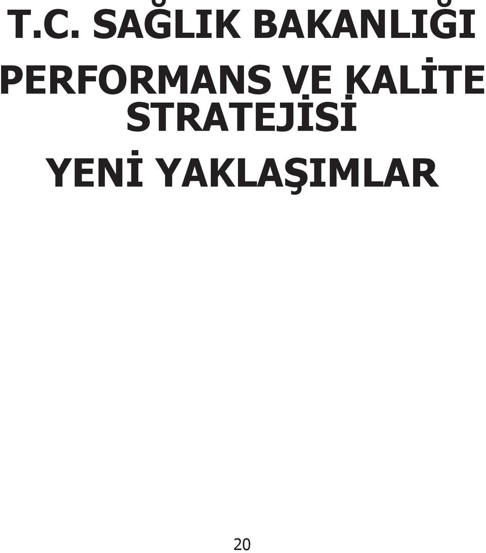 PERFORMANS VE