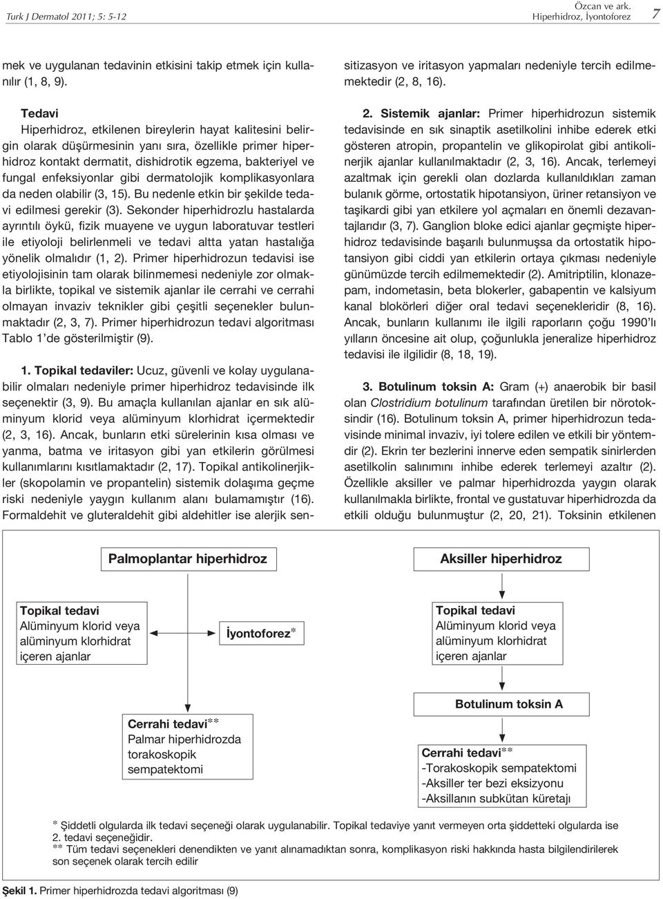 gibi dermatolojik komplikasyonlara da neden olabilir (3, 15). Bu nedenle etkin bir şekilde tedavi edilmesi gerekir (3).