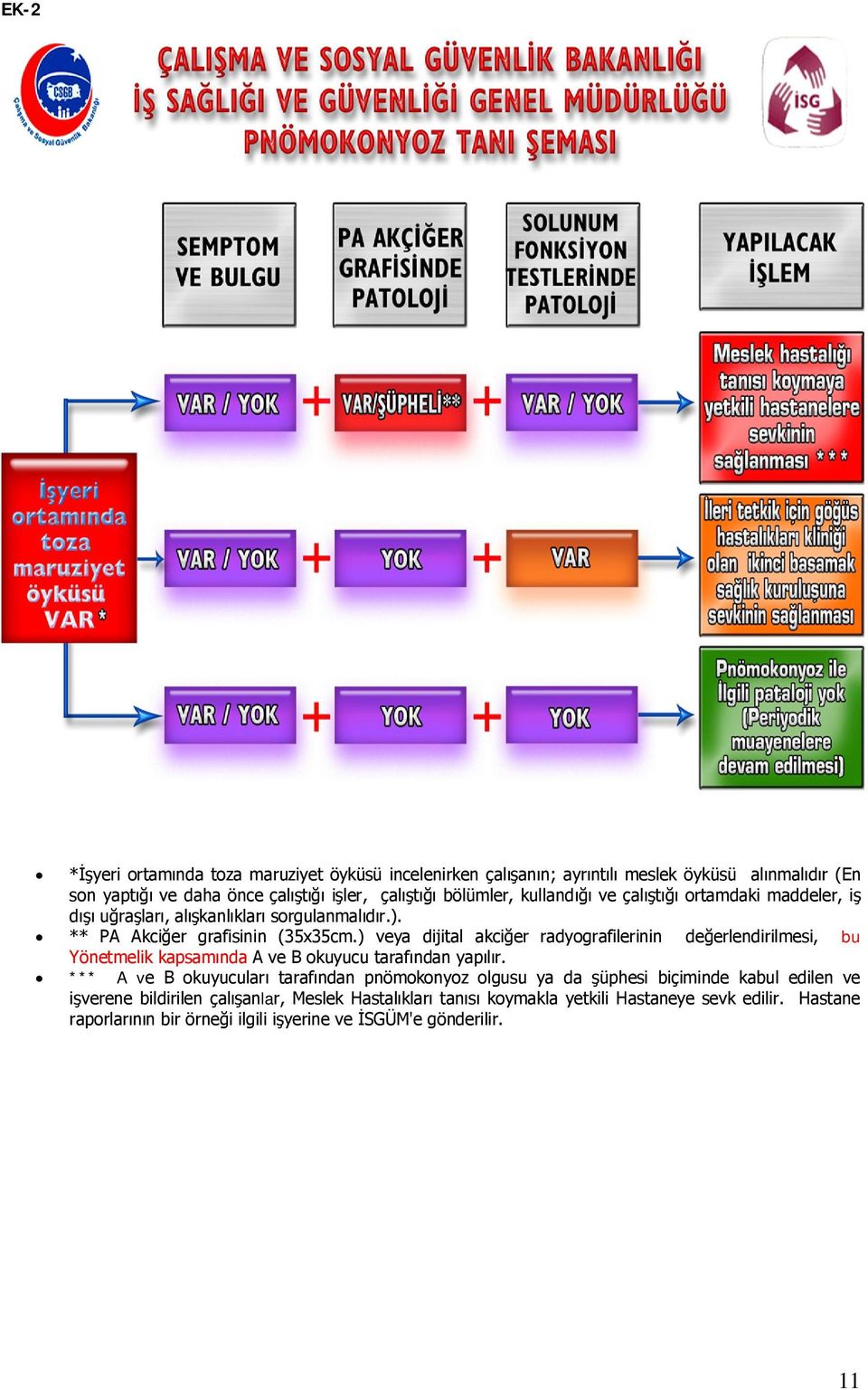 ) veya dijital akciğer radyografilerinin değerlendirilmesi, bu Yönetmelik kapsamında A ve B okuyucu tarafından yapılır.