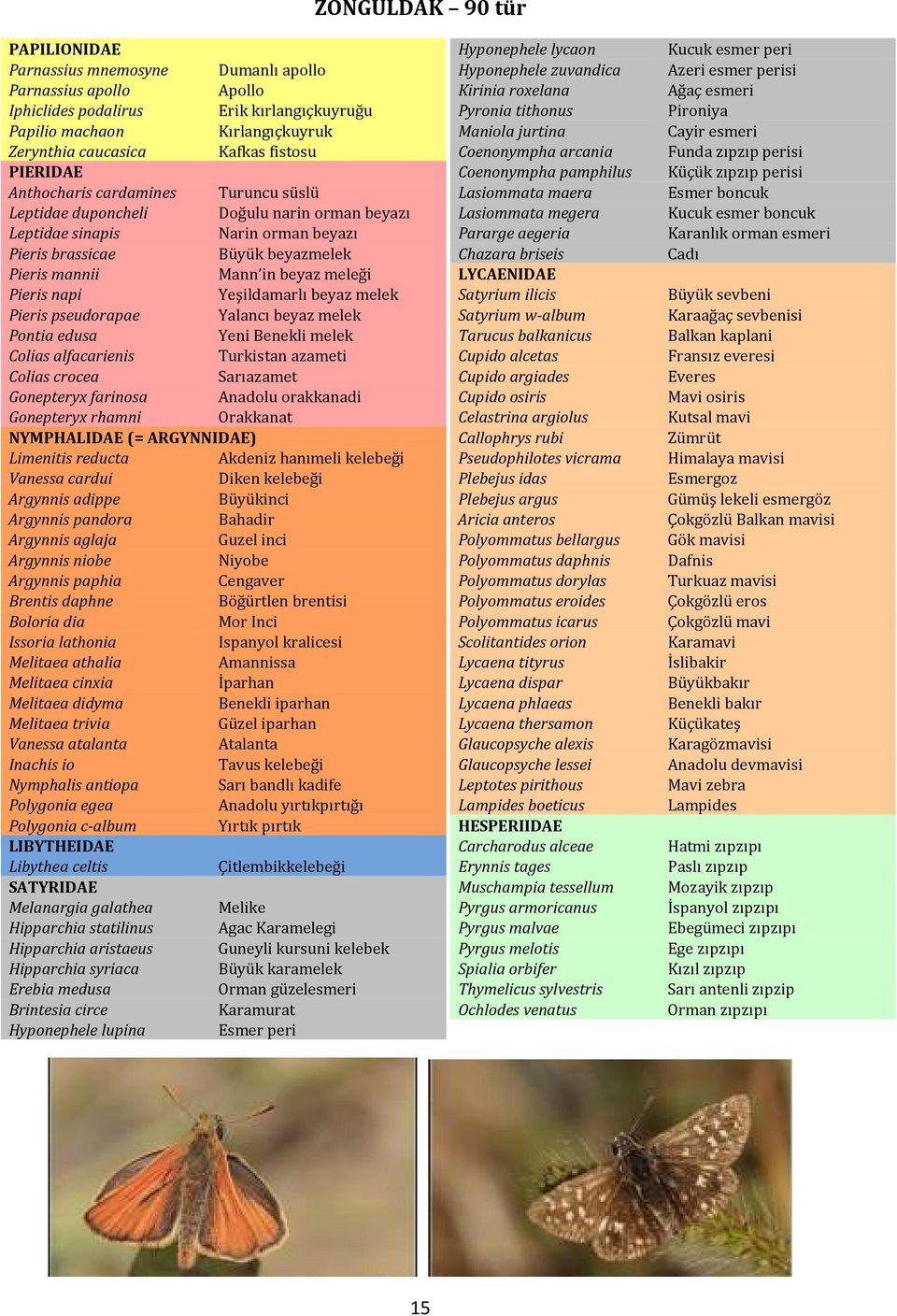 meleği Pieris napi Yeşildamarlı beyaz melek Pieris pseudorapae Yalancı beyaz melek Pontia edusa Yeni Benekli melek Colias alfacarienis Turkistan azameti Colias crocea Sarıazamet Gonepteryx farinosa