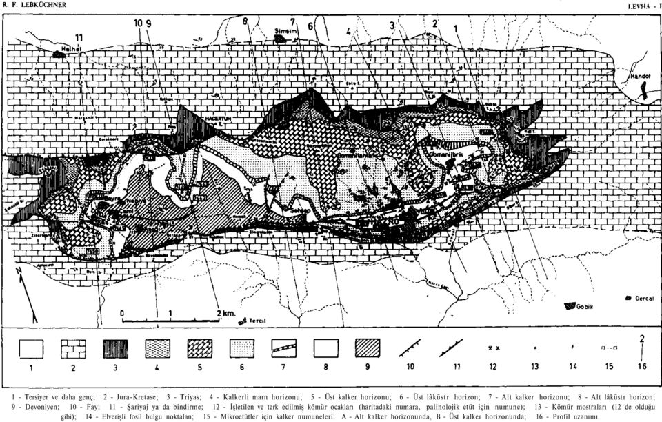 terk edilmiş kömür ocakları (haritadaki numara, palinolojik etüt için numune); 13 - Kömür mostraları (12 de olduğu gibi); 14 -