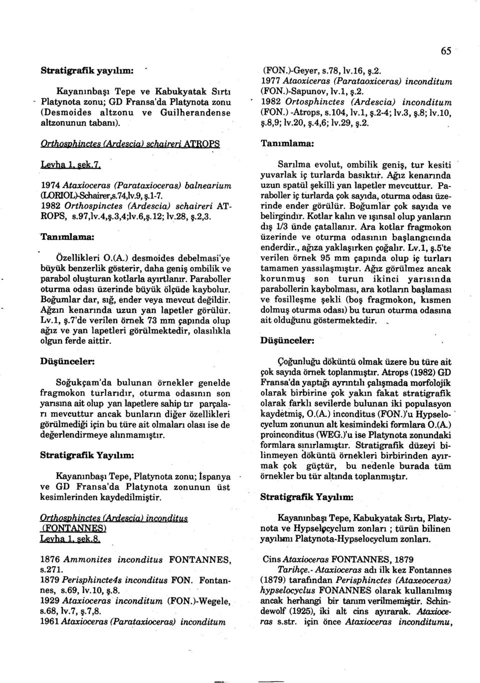 descia) schaireri AT ROPS, s.97,lva,s.3,4;lv.6,s.12; Iv.28, s.2,3. Özellikleri O.(A.) desmoides debelmasi'ye büyük benzerlik gösterir, daha genis ombilik ve parabololusturan kotlarla ayirtlanir.