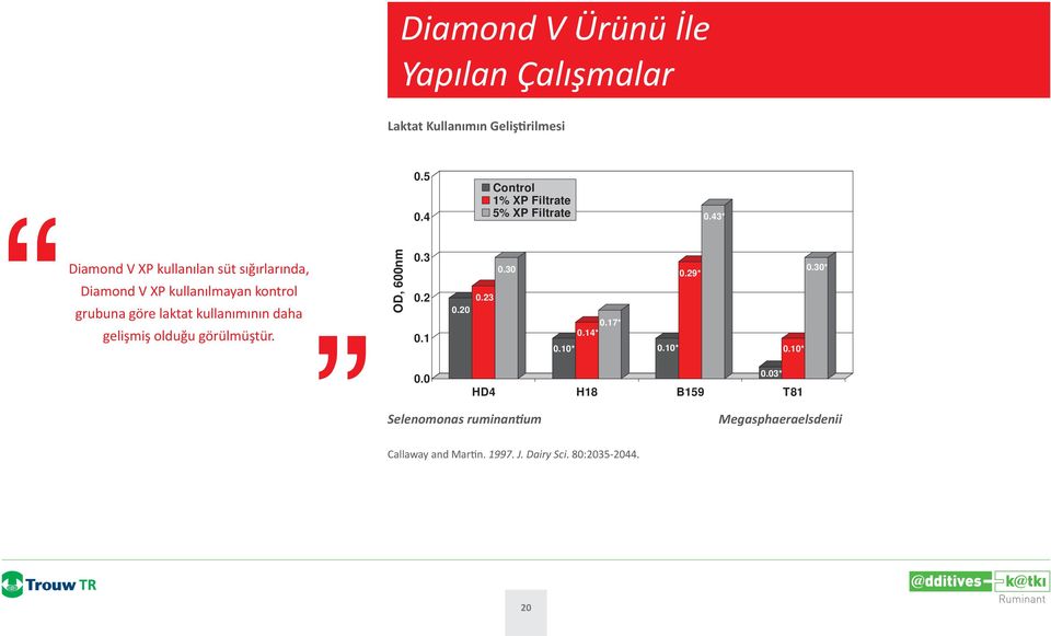 43* Diamond V XP kullanılan süt sığırlarında, Diamond V XP kullanılmayan kontrol grubuna göre laktat kullanımının