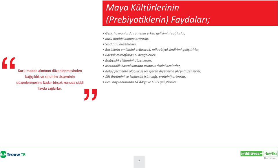 Genç hayvanlarda rumenin erken gelişimini sağlarlar, Kuru madde alımını ar rırlar, Sindirimi düzenlerler, Besinlerin emilimini ar rarak, mikrobiyal sindirimi