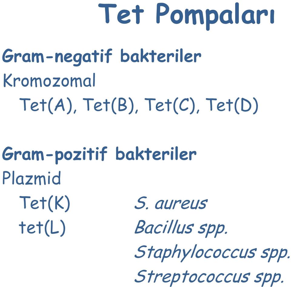 Gram-pozitif bakteriler Plazmid Tet(K) S.