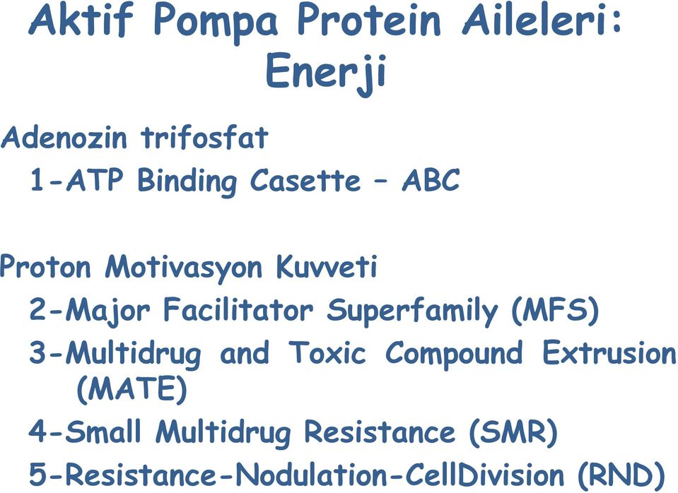 Superfamily (MFS) 3-Multidrug and Toxic Compound Extrusion (MATE)