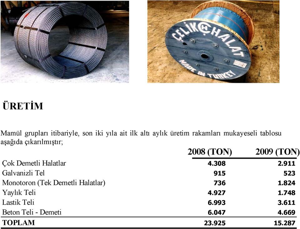 308 2.911 Galvanizli Tel 915 523 Monotoron (Tek Demetli Halatlar) 736 1.