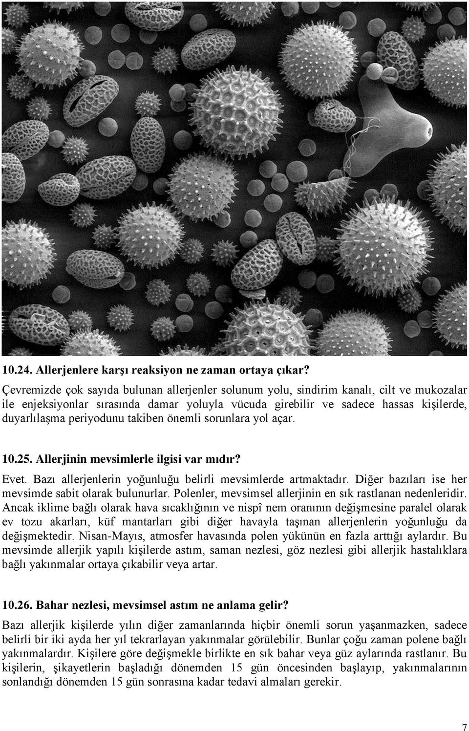 periyodunu takiben önemli sorunlara yol açar. 10.25. Allerjinin mevsimlerle ilgisi var mıdır? Evet. Bazı allerjenlerin yoğunluğu belirli mevsimlerde artmaktadır.