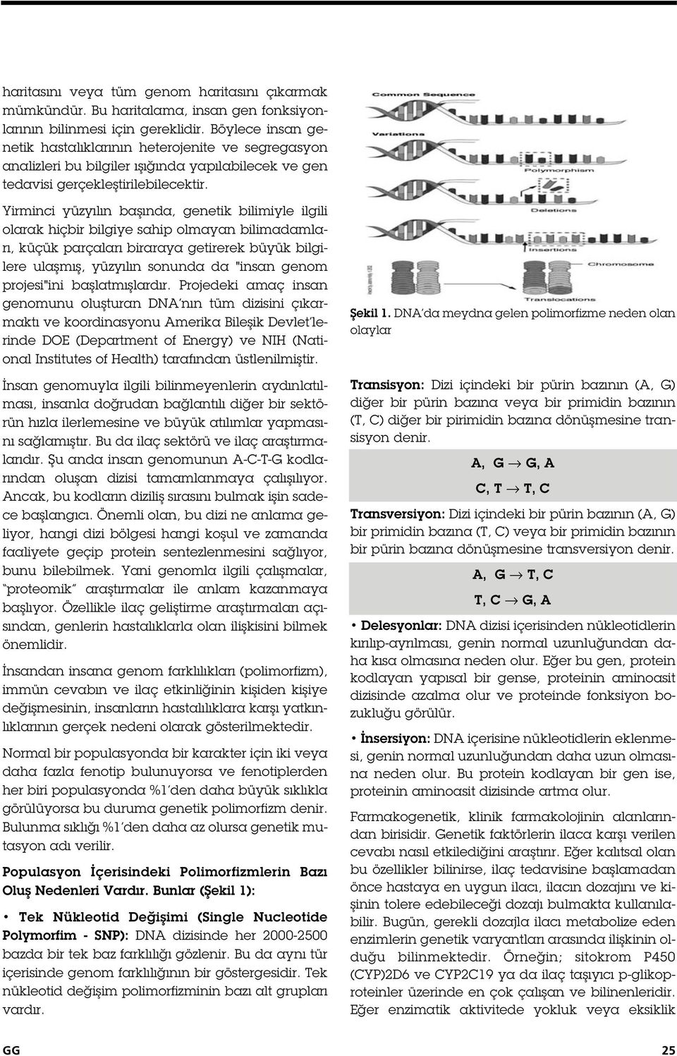 Yirminci yüzyılın ba ında, genetik bilimiyle ilgili olarak hiçbir bilgiye sahip olmayan bilimadamları, küçük parçaları biraraya getirerek büyük bilgilere ula mı, yüzyılın sonunda da "insan genom