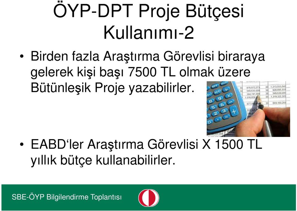 TL olmak üzere Bütünleşik Proje yazabilirler.