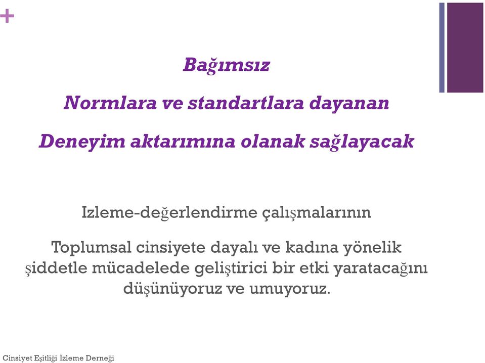 çalışmalarının Toplumsal cinsiyete dayalı ve kadına yönelik