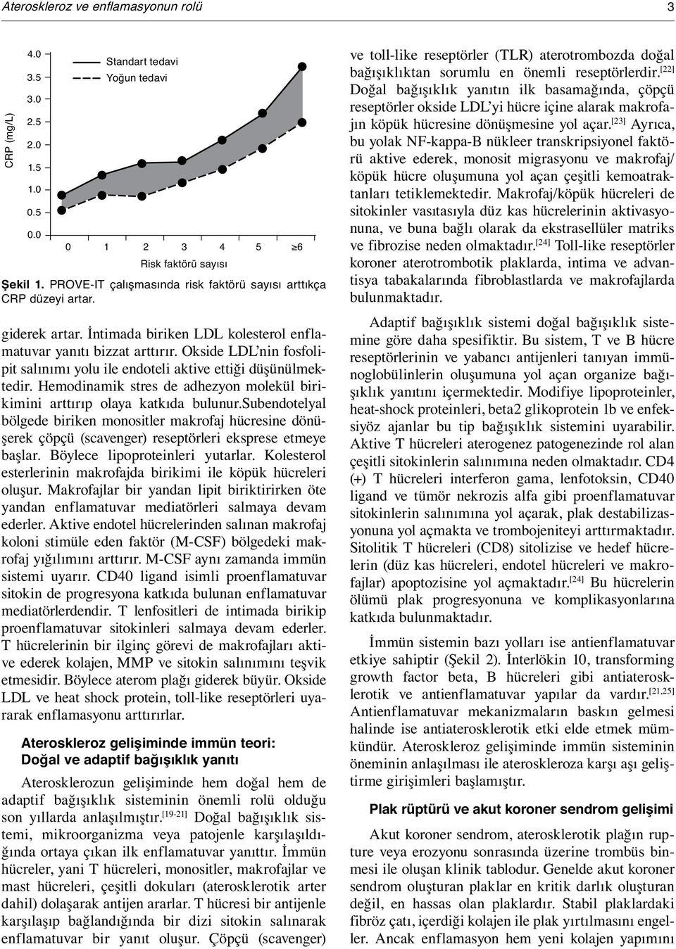 Okside LDL nin fosfolipit salınımı yolu ile endoteli aktive ettiği düşünülmektedir. Hemodinamik stres de adhezyon molekül birikimini arttırıp olaya katkıda bulunur.