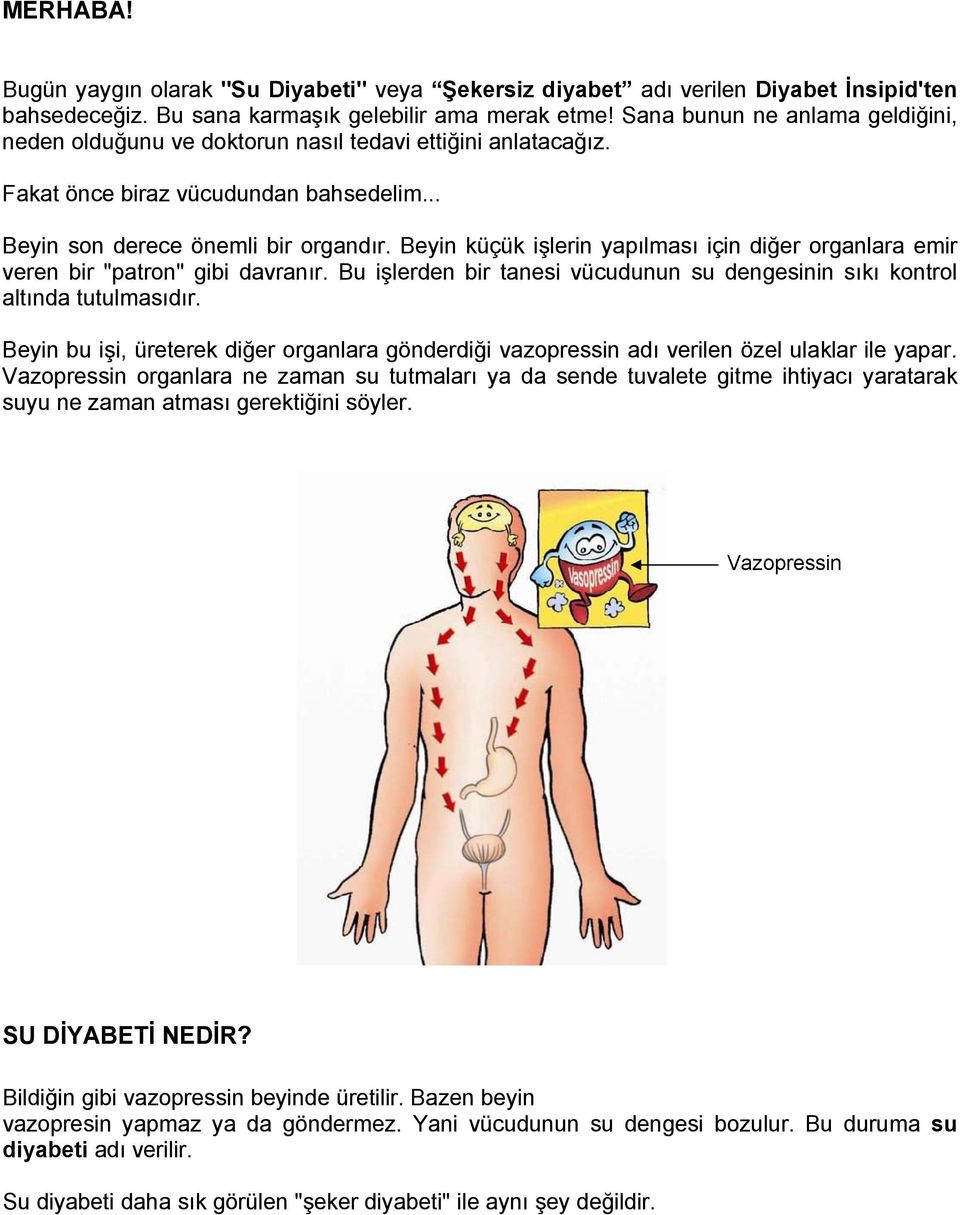 Beyin küçük işlerin yapılması için diğer organlara emir veren bir "patron" gibi davranır. Bu işlerden bir tanesi vücudunun su dengesinin sıkı kontrol altında tutulmasıdır.