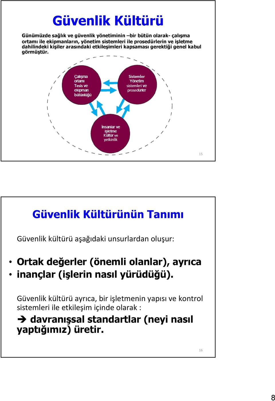 15 Güvenlik Kültürünün Tanımı Güvenlik kültürü aşağıdaki unsurlardan oluşur: Ortak değerler (önemli olanlar), ayrıca inançlar (işlerin