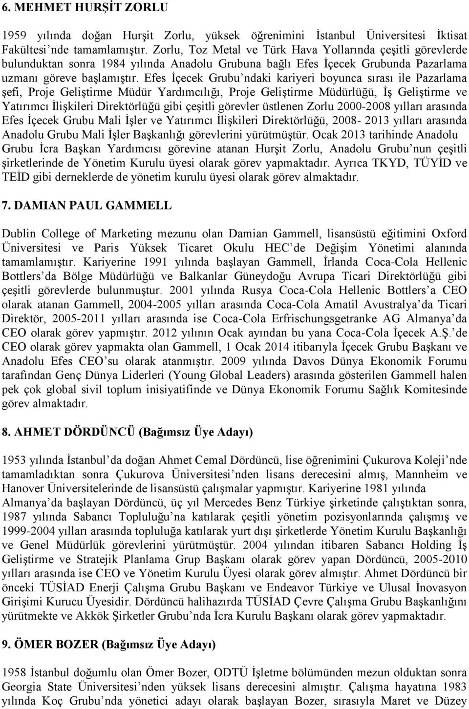 Efes İçecek Grubu ndaki kariyeri boyunca sırası ile Pazarlama şefi, Proje Geliştirme Müdür Yardımcılığı, Proje Geliştirme Müdürlüğü, İş Geliştirme ve Yatırımcı İlişkileri Direktörlüğü gibi çeşitli