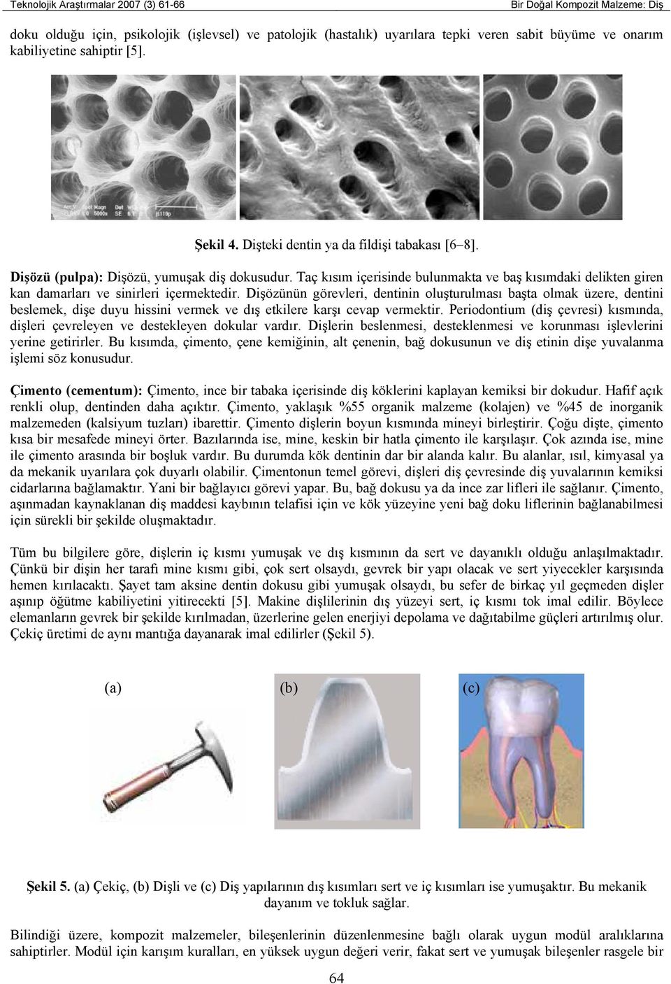 Dişözünün görevleri, dentinin oluşturulması başta olmak üzere, dentini beslemek, dişe duyu hissini vermek ve dış etkilere karşı cevap vermektir.