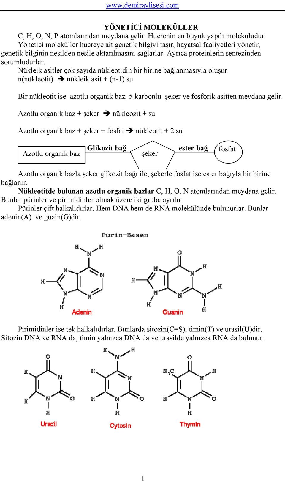 Nükleik asitler çok sayıda nükleotidin bir birine bağlanmasıyla oluşur. n(nükleotit) nükleik asit + (n-1) su Bir nükleotit ise azotlu organik baz, 5 karbonlu şeker ve fosforik asitten meydana gelir.
