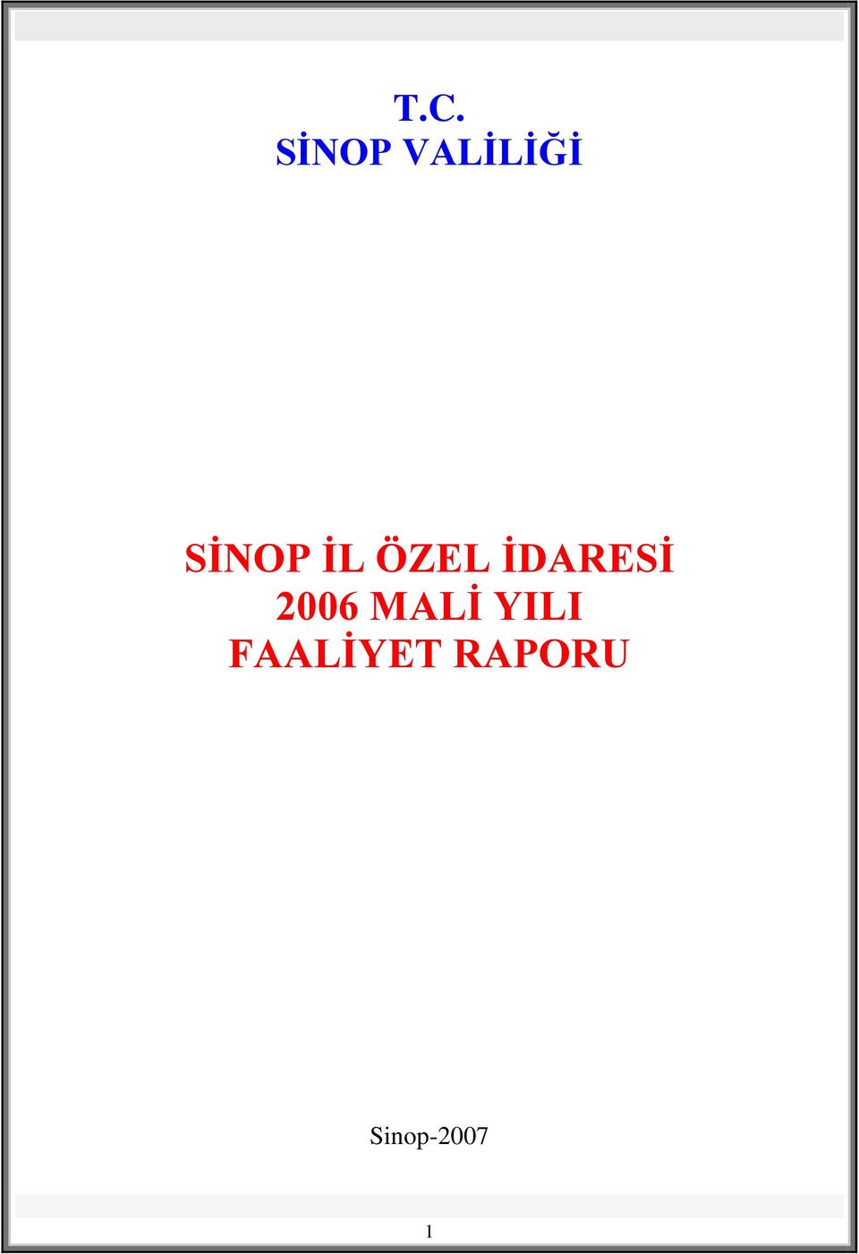 2006 MALİ YILI