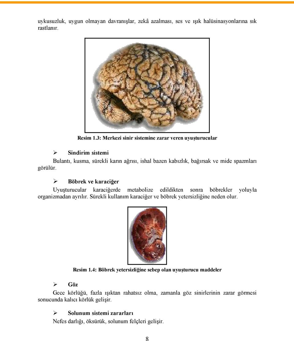 Böbrek ve karaciğer Uyuşturucular karaciğerde metabolize edildikten sonra böbrekler yoluyla organizmadan ayrılır. Sürekli kullanım karaciğer ve böbrek yetersizliğine neden olur.