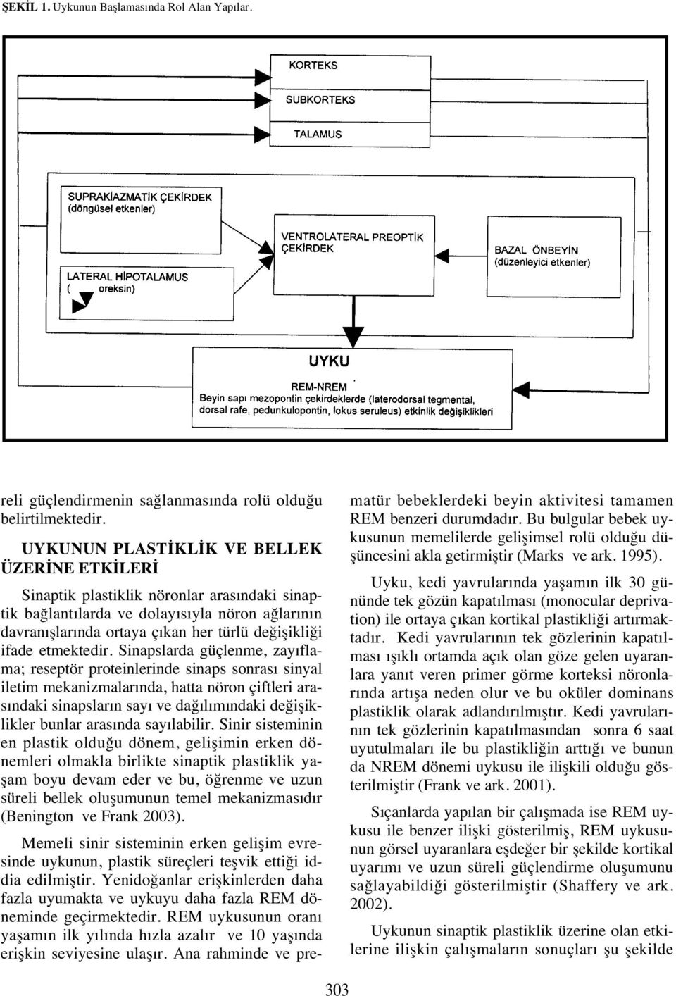 etmektedir.